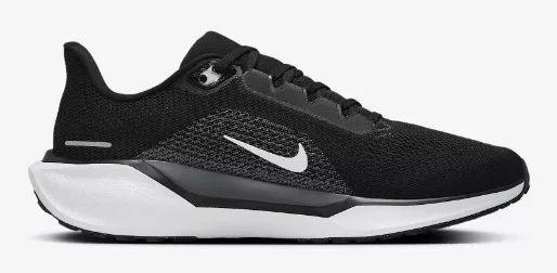 Nike
Pegasus 41